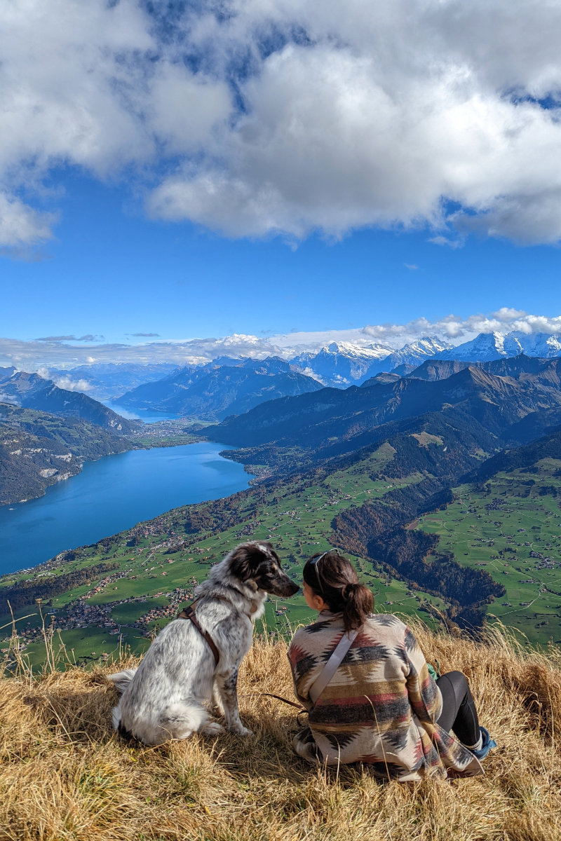 Niesen with your dog: Between mountain bliss and funicular thrills
