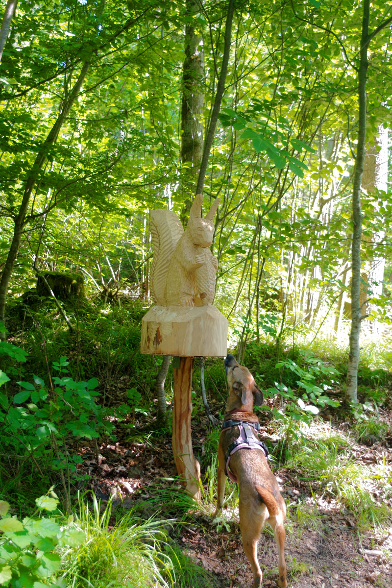 Frutigen wood carving trail: The perfect walk with your dog on hot days