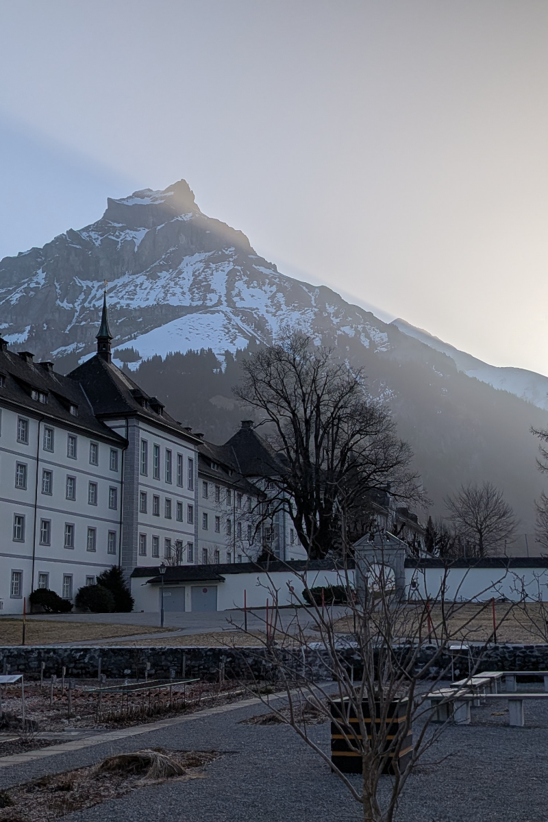 Canton of Obwalden with dogs: Laws, guard dogs & tips