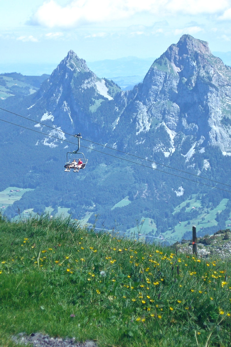 Canton of Schwyz with dogs: Laws, guard dogs & tips