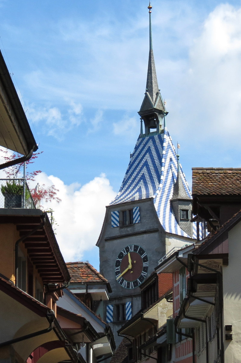 Canton of Zug with dogs: All rules & tips for hikers